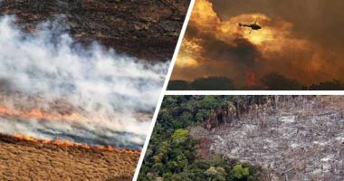 أمريكا اللاتينية مغطاة بالدخان.. 6000 حريق بأمازون البرازيل فى أغسطس.. و11 ألف حريق فى الأرجنتين وأكثر من 16 ألفا ببوليفيا والمكسيك تخمد 70 يوميا.. النيران دمرت 700 نوع من النباتات والحيوانات