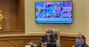 وزير التنمية المحلية: إقبال أهالى سيناء على الانتخابات يعكس حالة الأمن والأمان