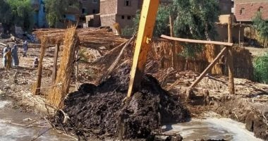حماية النيل بالأقصر تنفذ 22 قرار إزالة تعديات على حرم النهر  .. صور 