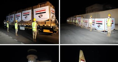 وصول طائرتي المساعدات المصرية إلى الأشقاء في السودان.. فيديو