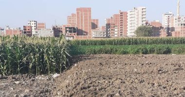 محافظ الشرقية يرصد بناء مخالف على أرض زراعية فى جولة ميدانية لمتابعة النظافة 