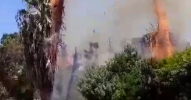 قارئ يشارك "صحافة المواطن" بصور لحريق أمام مستشفى قصر العينى
