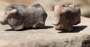 اكتشاف تمثالين صغيرين لخنزيرين عمرهما 3500 سنة فى بولندا