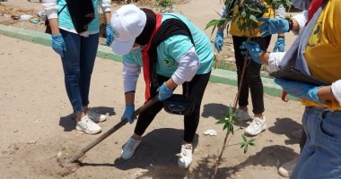 البيئة تطلق حملة تشجير منطقة "كيما" بأسوان ضمن مبادرة "اتحضر للأخضر"