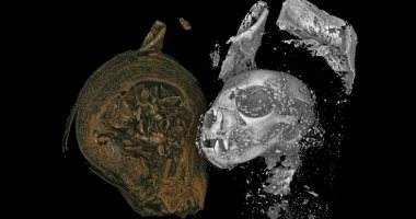 كيف حنط المصريون القدماء الحيوانات؟ باحثون يحاولون فك اللغز بتقنية 3D
