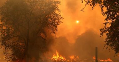 كاليفورنيا تواجه 560 حريقا.. وحاكم الولاية: نتعرض لأسوأ موسم حرائق