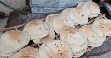 "تموين الإسكندرية": تشكيل لجان متابعة وجولات يومية لضبط منظومة الخبز الجديدة