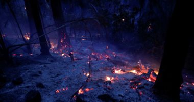 النيران تلتهم 20 ألف هكتار من غابات ولاية أوريجون الأمريكية
