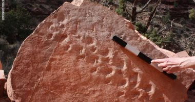 اكتشاف أقدم أحفورة بمنتزه فى أمريكا عمرها 313 مليون عام بعد انهيار جرف