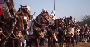 ليبيا تنظم مهرجان الفروسية احتفالا بإعلان وقف إطلاق النار.. فيديو