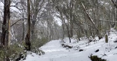 بالفيديو والصور.. طقس بارد وتساقط كثيف للثلوج فى أستراليا بسبب انفجار قطبى
