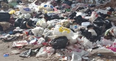 شكوى من انتشار القمامة والأوبئة بشارع الجوازت بمركز فاقوس شرقية