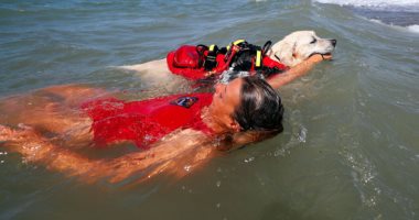 أبطال فى مهمة رسمية.. مدارس إيطالية لتعليم الكلاب إنقاذ البشر من الغرق.. ألبوم صور