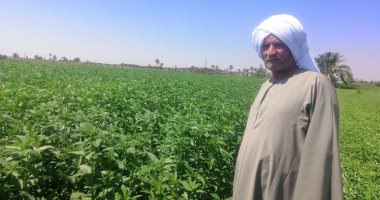 فيديو يوضح جهود الدولة المصرية فى دعم المزارعين