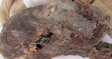 اكتشاف بقايا عظام بشرية تضم جماجم ممدودة فى منطقة جديدة من بيرو