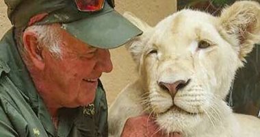 "لبؤة" تقتل عالم بيئة دافع عنها عندما افترست رجلا في جنوب أفريقيا.. صور