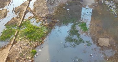 شكوى من انتشار مياه الصرف الصحى بمنطقة مثلث منية بشبين القناطر