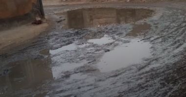 شكوى من انتشار مياه الصرف الصحى بقرية كفر الدوايدة فى الصالحية بالشرقية
