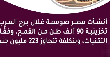 إنفوجراف.. صومعة غلال برج العرب قدرتها التخزينية 90 ألف طن قمح