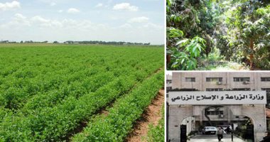  10 محاور للتنمية الزراعية فى مصر.. اقرأ التفاصيل