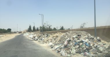 اضبط مخالفة.. القمامة تحاصر سور جامعة قناة السويس القديمة بالإسماعيلية.. صور