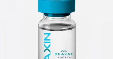المجلس الهندي للبحوث الطبية: لقاح كوفاكسين قد يكون "أكثر فعالية '' ضد أوميكرون
