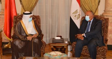 اتفاق مصرى بحرينى على الدعوة لوقف إطلاق النار بليبيا وتشكيل مجلس رئاسى جديد