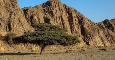 7 أسئلة شائعة عن المحميات الطبيعية فى مصر.. تعرف على التفاصيل