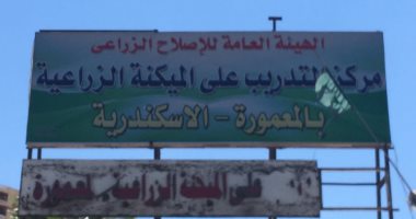 "زراعة الإسكندرية" تكشف حقيقة تعليق لافتة تحمل لفظ جنسى بالمعمورة