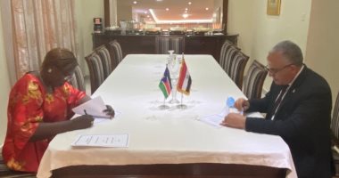 اتفاق تعاون بين مصر وجنوب السودان لتطوير نظم الرى في مدينة "واو".. صور