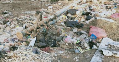 شكوى من تراكم القمامة بقرية نجير بمحافظة الدقهلية
