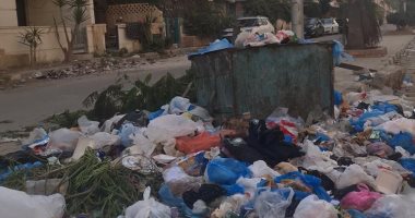 شكوى من انتشار القمامة والحشرات بمنطقة العجمى الاسكندرية