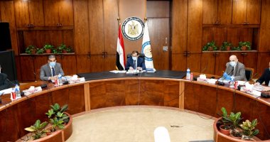 البترول: 355 مليون جنيه استثمارات شركة البتروكيماويات المصرية 2019 - 2020