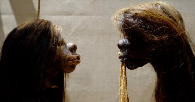 متحف بريطاني يزيل مجموعة من "الرؤوس البشرية" لـ"تعزيزها التفكير العنصرى"