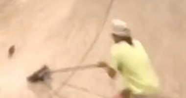 معركة محمومة بين رجل وفأر فى حلبة تزلج.. اعرف الحكاية.. فيديو