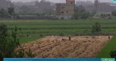 "صباح الخير يا مصر" يعرض خريطة زراعية جديدة لمصر في عهد الرئيس السيسي..فيديو