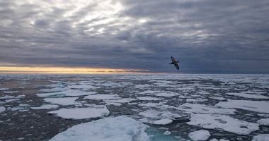 الجليد البحرى فى القارة القطبية الجنوبية يصل إلى أدنى مستوى له.. تقرير  