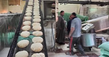 "المنوفية" تغلق 12 مخبزا للتعدى على حملة تفتيشية وإنتاج خبز ناقص الوزن.. صور