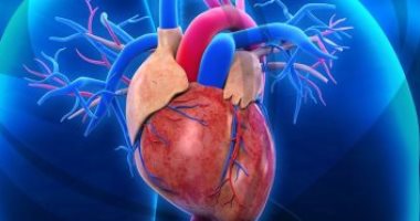 الصحة: 8.39% من وفيات أمراض القلب التاجية بسبب الدهون غير المشبعة