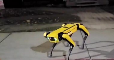 كلاب روبوتية لحراسة الحدود الأمريكية.. فيديو