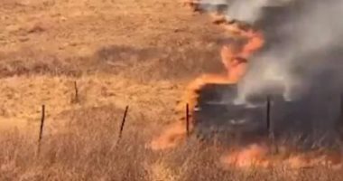 لقطات جديدة لالتهام النيران حشائش غابات كاليفورنيا.. فيديو