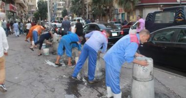استجابة لـ"اليوم السابع".. حملة غسيل ونظافة بشارع الألفى وسط القاهرة.. صور