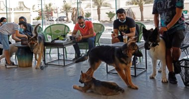 مراجيح وقهوة وشاى.. افتتاح أول مقهى لعشاق الكلاب بالسعودية