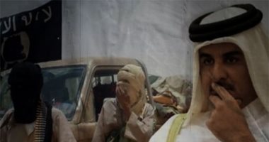 دراسة تفضح دعم قطر للإرهاب والإخوان.. فيديو