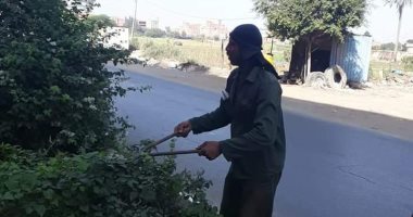 صور.. حملة نظافة مكبرة وتقليم للأشجار بشوارع مدينة طنطا