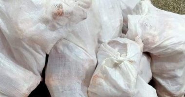 ضبط 6 أطنان دواجن فاسدة داخل ثلاجة حفظ سلع غذائية فى القاهرة