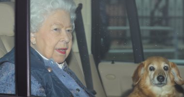 أبرزهم الملكة إليزابيث.. أفراد العائلة المالكة فى بريطانيا يعشقون الكلاب.. صور