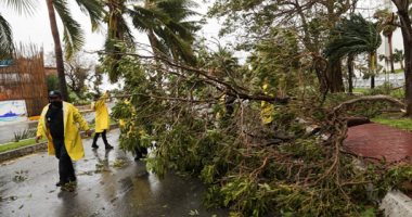 صور.. إعصار "دلتا" العنيف يضرب سواحل المكسيك ويقتلع الأشجار