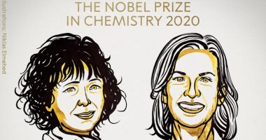 إنفوجراف.. النساء فى المقدمة بجوائز نوبل 2020