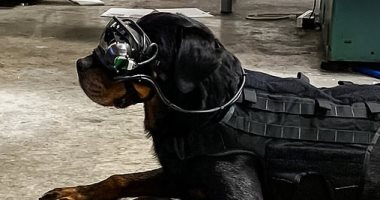 الجيش الأمريكى يدعم كلابه بنظارات ذكية لمساعدتهم على اكتشاف المتفجرات